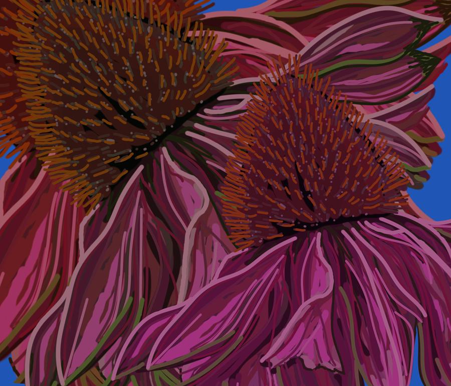 Echinacea Flower Blues Drawing by Joan Stratton