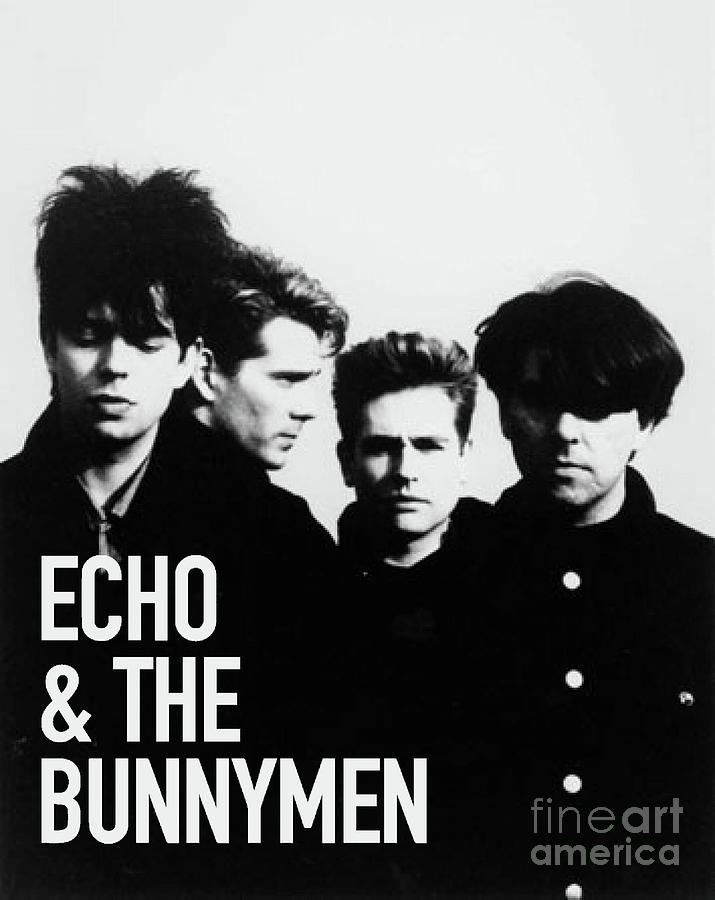 Echo The Bunnymen Dvds Bootlegs Rarissimos, 59% OFF