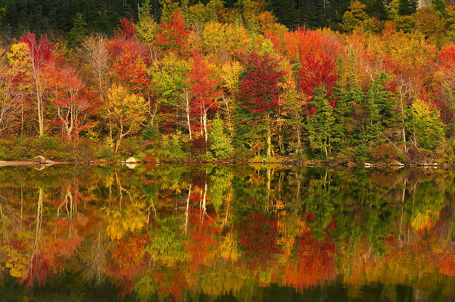 Fall Digital Art - Echo Lake In Autumn, New Hampshire by Franco Cogoli
