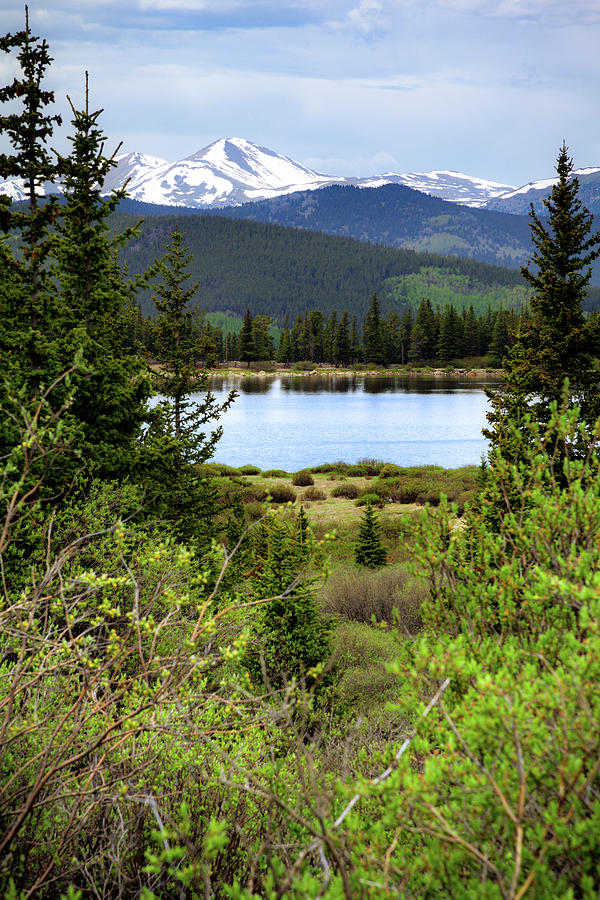 Echo Lake by Jeanette Fellows Echo Lake by Jeanette Fellows