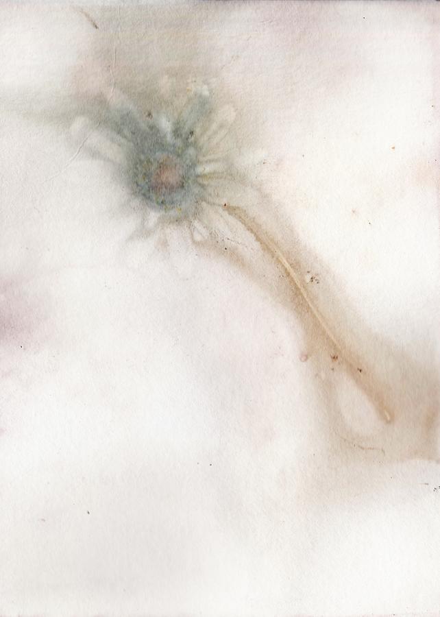 ECHO PRINT SIX by Christina VanGinkel ECHO PRINT SIX by Christina VanGinkel