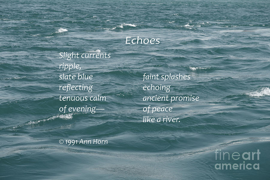 Echoes Photograph by Ann Horn