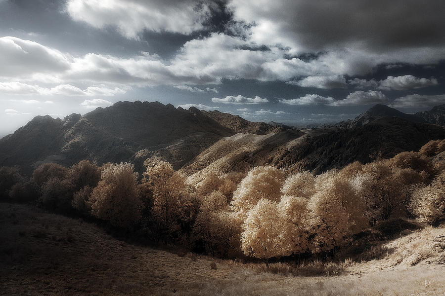 Landscape Photograph - Echoes Of Shapes by Filippo Manini
