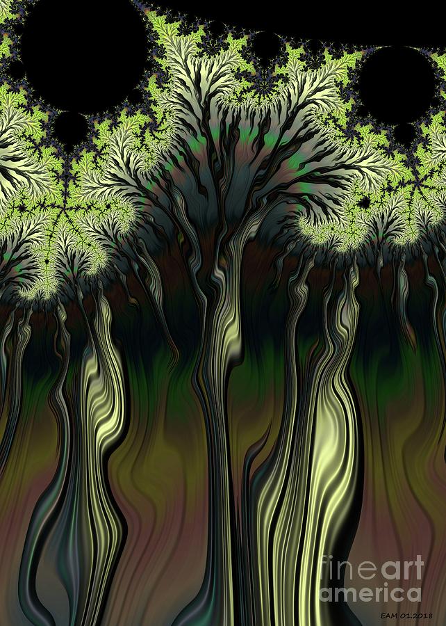 Eclectic Dreams Of The Forest / The Three Graces Digital Art