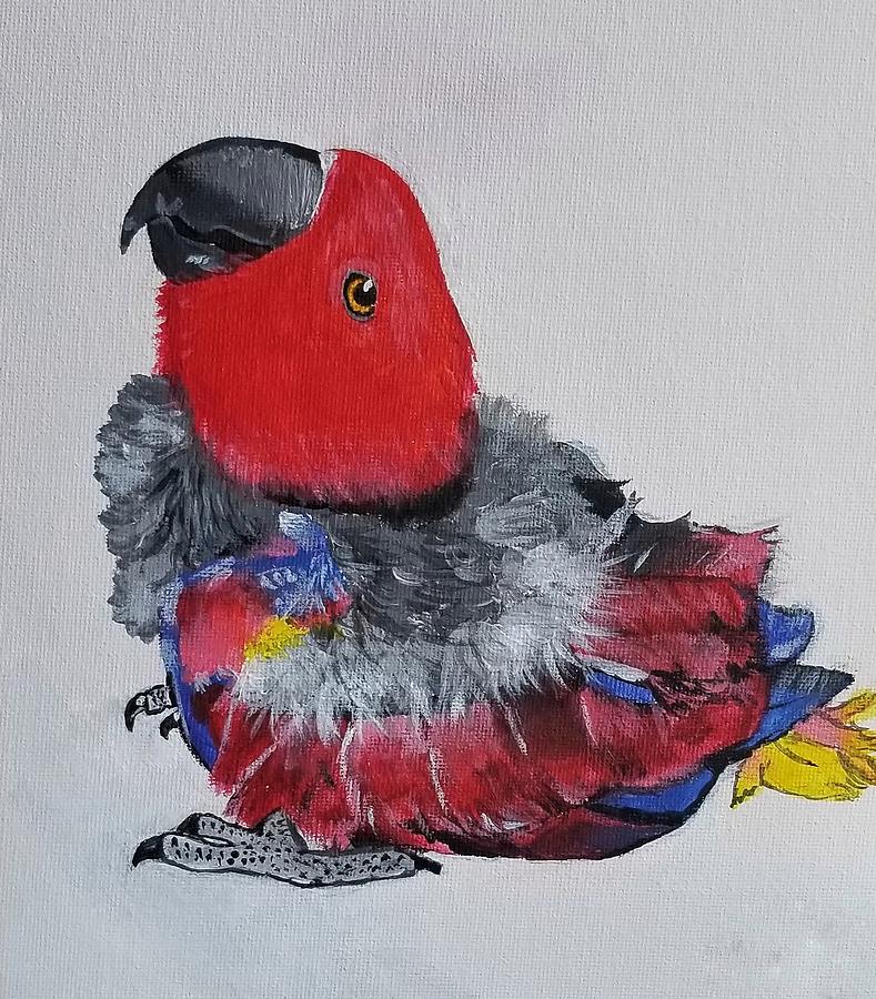 eclectus parrot painting