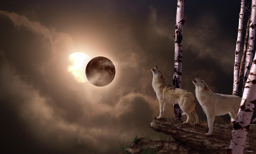 Animal Photograph - Eclipse (shadow Of The Moon) by Gordon Semmens