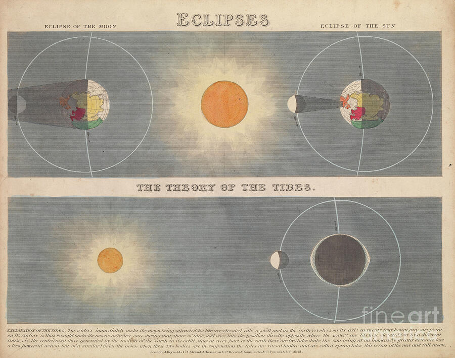 Eclipses, 1846 60 Engraving Drawing by James Reynolds