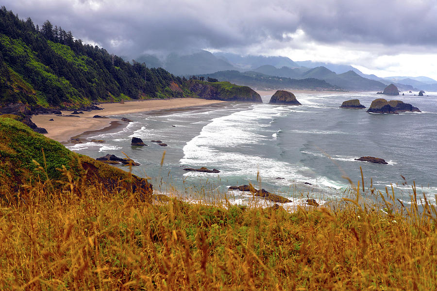 Ecola State Park Photograph by Mitch Cat - Pixels