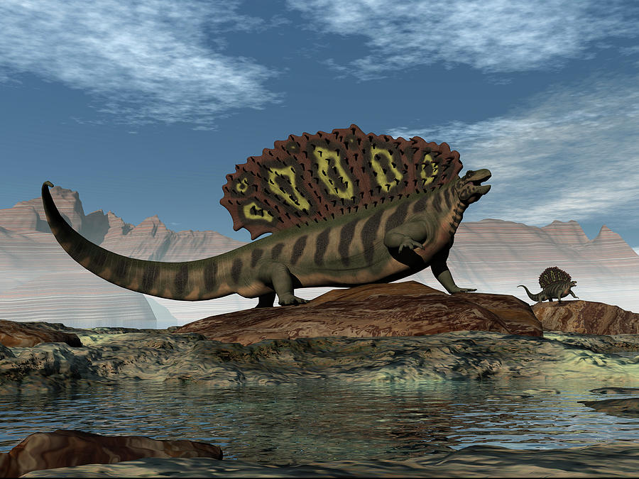 Edaphosaurus Prehistoric Animal Atop Photograph by Elena Duvernay