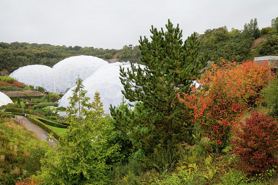 Eden Project  England Photograph by Shirley Mitchell