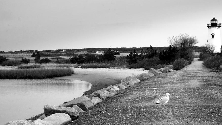 Edgartown Harbor Light in Black and White Photograph by Kathy Barney