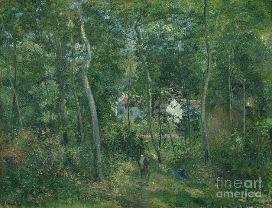 Edge Of The Woods Near Lhermitage Drawing by Heritage Images