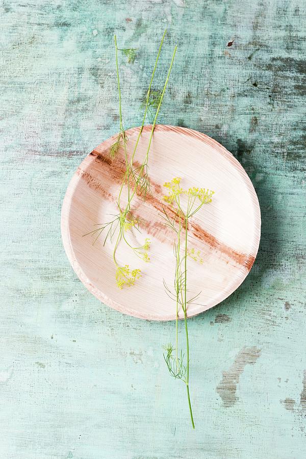 Edible Fennel Flowers On Plate top View Photograph by Mandy Reschke