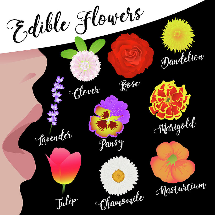 Edible Flowers Digital Art by Claire Huntley