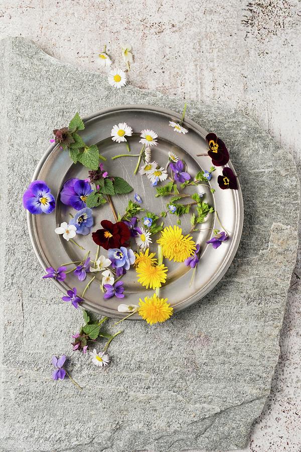 Edible Flowers dandelion, Violet, Viola, Daisy, Ground Ivy Photograph by Mandy Reschke