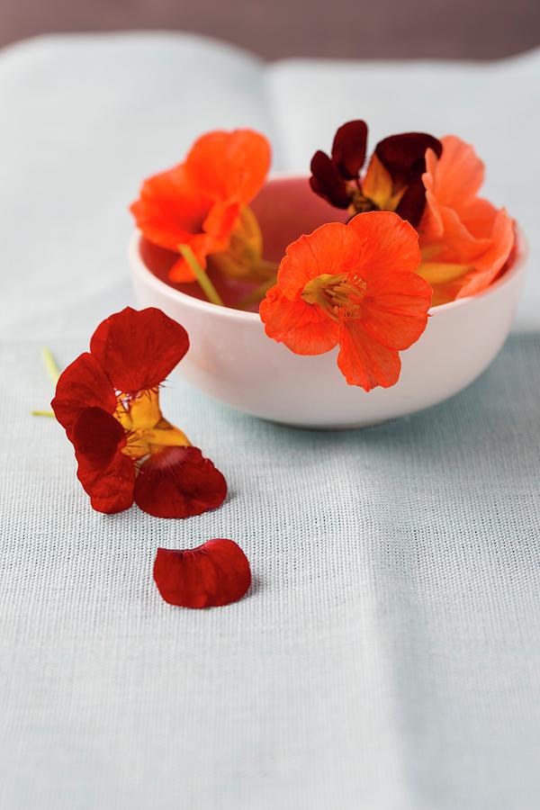 Edible Nasturtium Flowers Photograph by Mandy Reschke