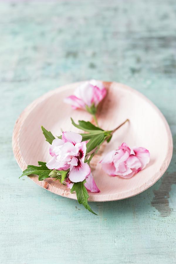Edible Pink Hibiscus Flowers On Plate Photograph by Mandy Reschke