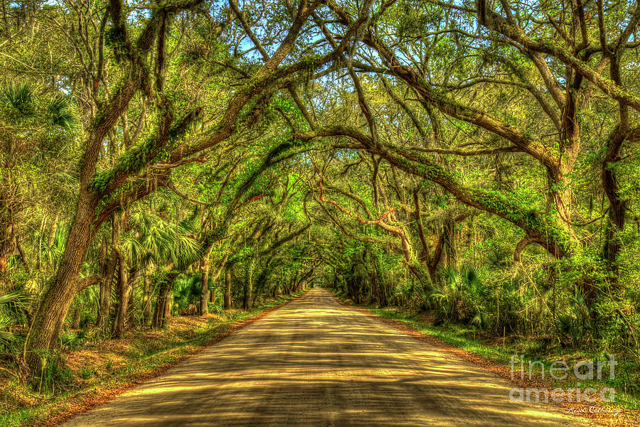 Charleston Sc Edisto Island 7 Botany Bay Road South Carolina Landscape Art Photograph by Reid Callaway