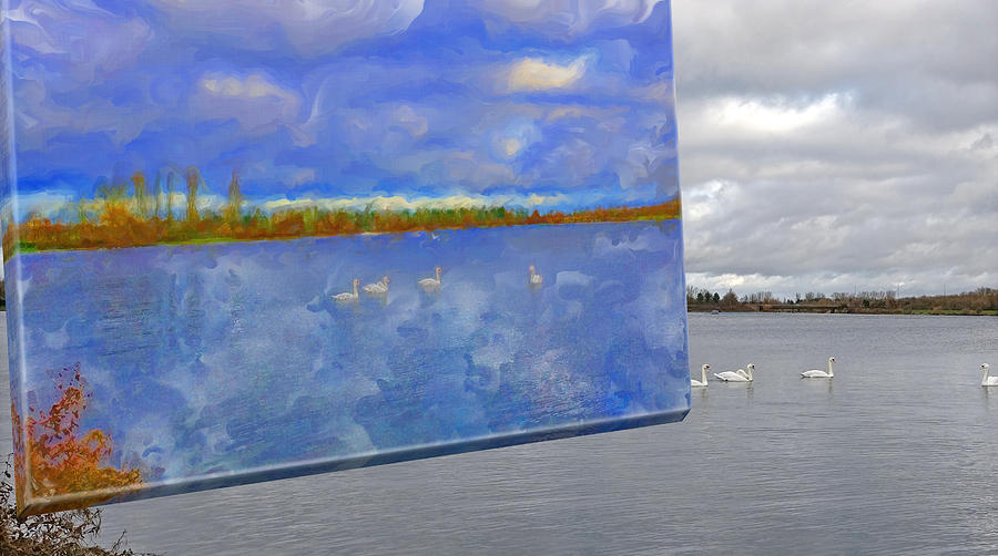 Edit 8 - Swan Lake Digital Art