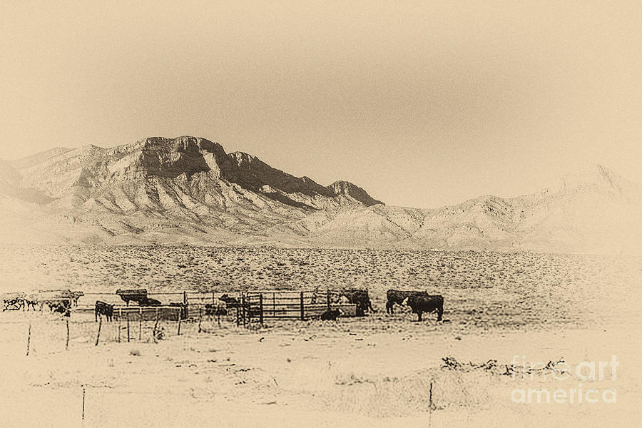 Nevada Ranch Digital Art by Anthony Ellis