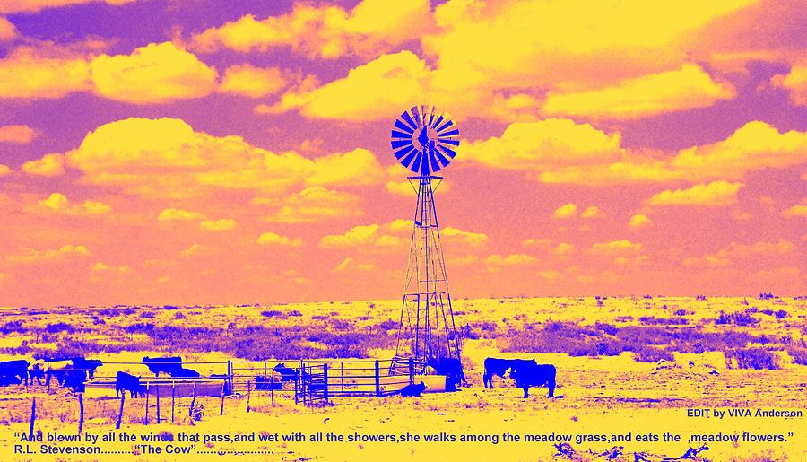 Edit This 11 -  Windmill Photograph by VIVA Anderson