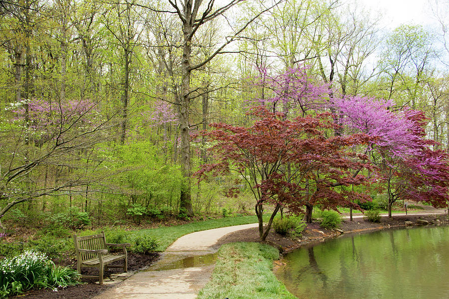 Edith Carrier Arboretum Pathway Photograph by Allen Nice-Webb