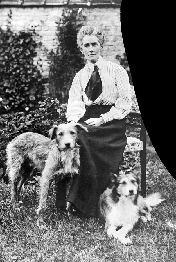 Edith Cavell With Dogs Photograph by Bettmann