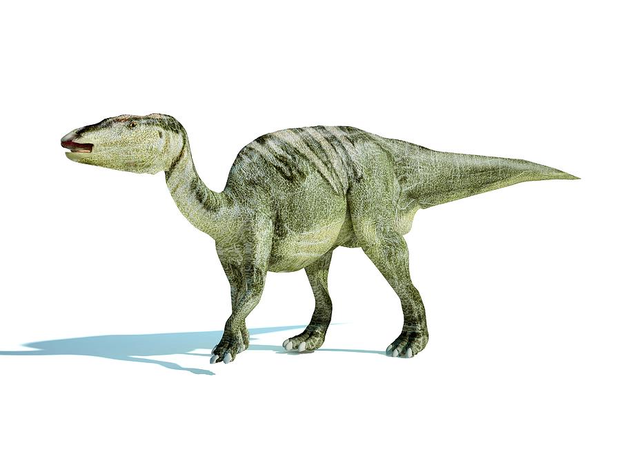 Edmontosaurus Dinosaur, Artwork Digital Art by Leonello Calvetti