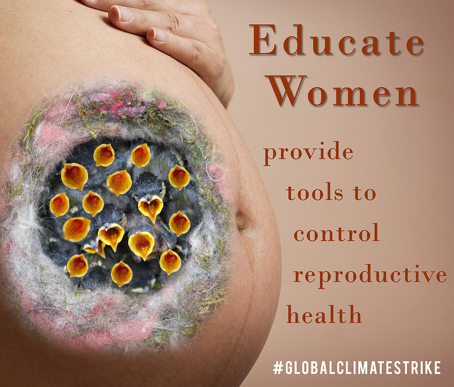 Educate Women by Lisa Redfern Educate Women by Lisa Redfern