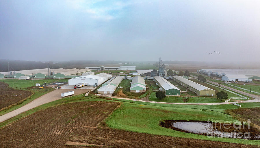 Egg Farm Photograph by Jim West/science Photo Library
