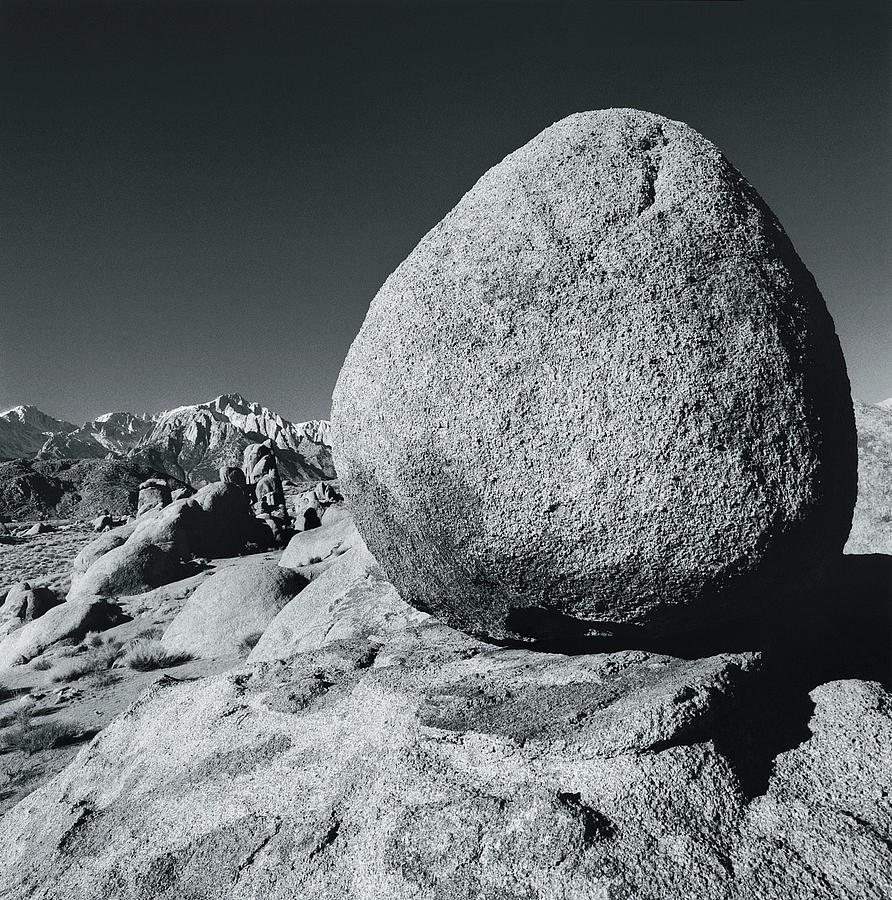 Nature Photograph - Egg, Lone Pine, California, Usa by Chris Simpson