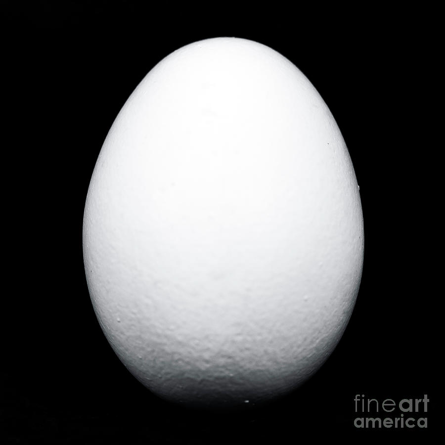 Egg Profile Photograph by John Rizzuto