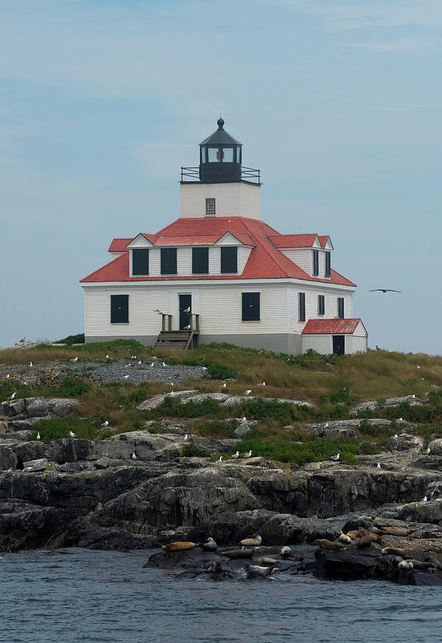 Egg Rock Light Photograph by Jules Vuotto - Fine Art America