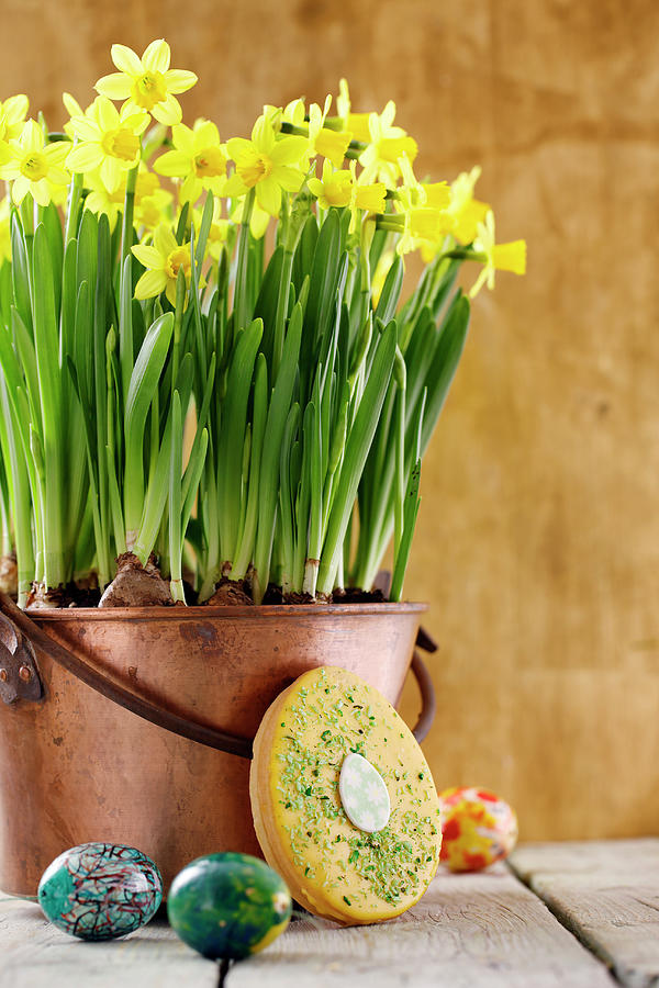 Egg-shaped Hanseatic Easter Cake Leaning Against A Copper Pot Of Narcissi Photograph by Petr Gross