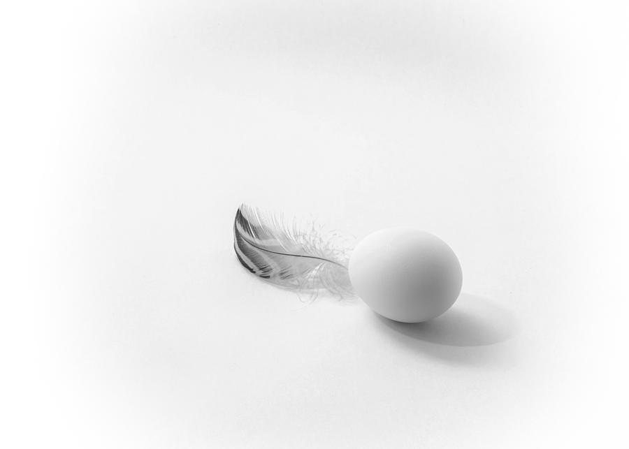 Still Life Photograph - Egg With Feather by Louie Luo
