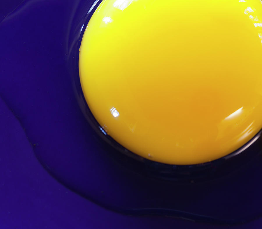 Egg Yolk Photograph by Photo By John Rice