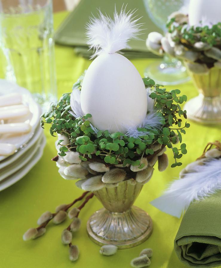 Eggcup With Egg And Feather, Cress And Pussy Willow Photograph by Strauss, Friedrich