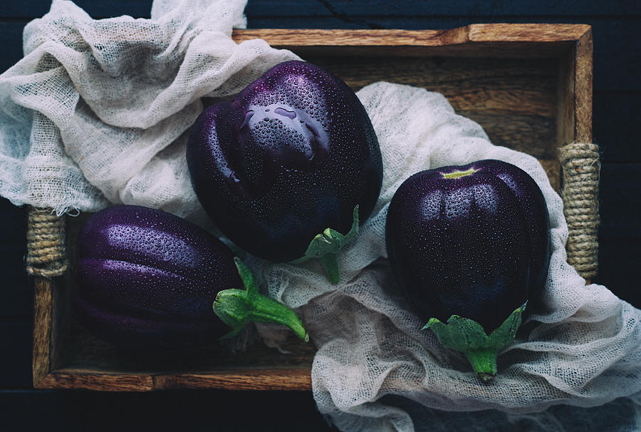 Eggplants Photograph by Aleksandrova Karina