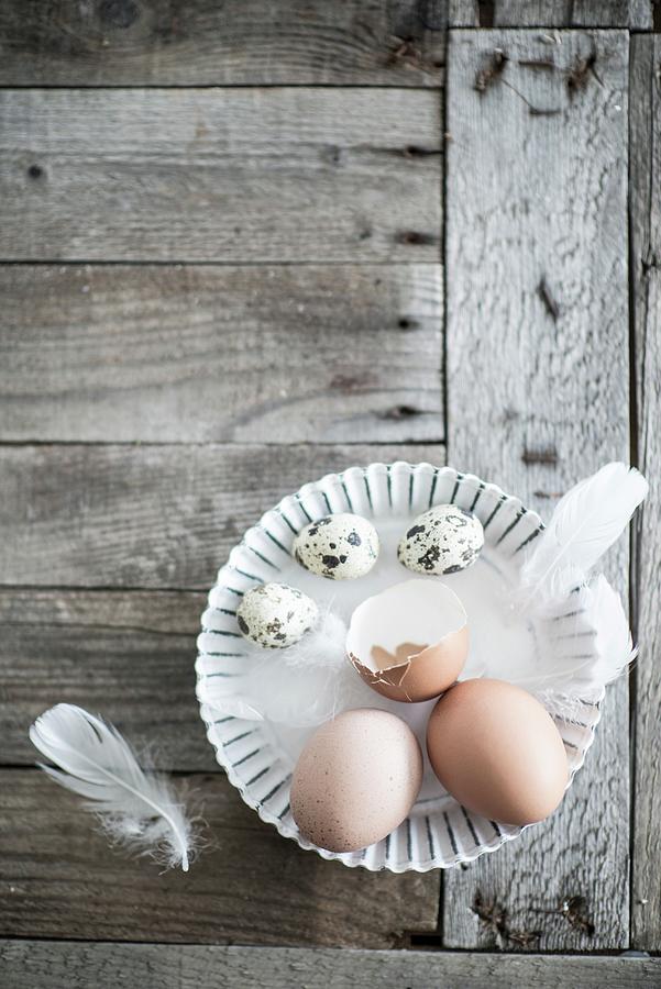 Eggs And Feathers In Flan Tin On Weathered Wood Photograph by Ulla@patsy
