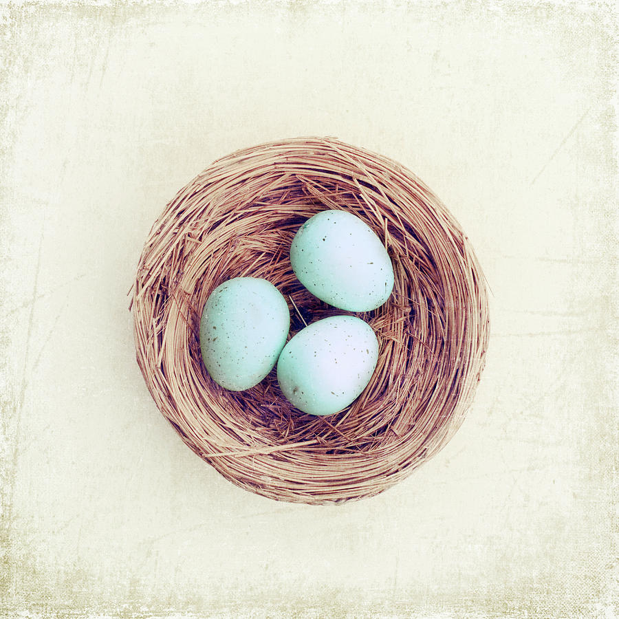 White Background Photograph - Eggs Bird Nest by Carolyn Cochrane
