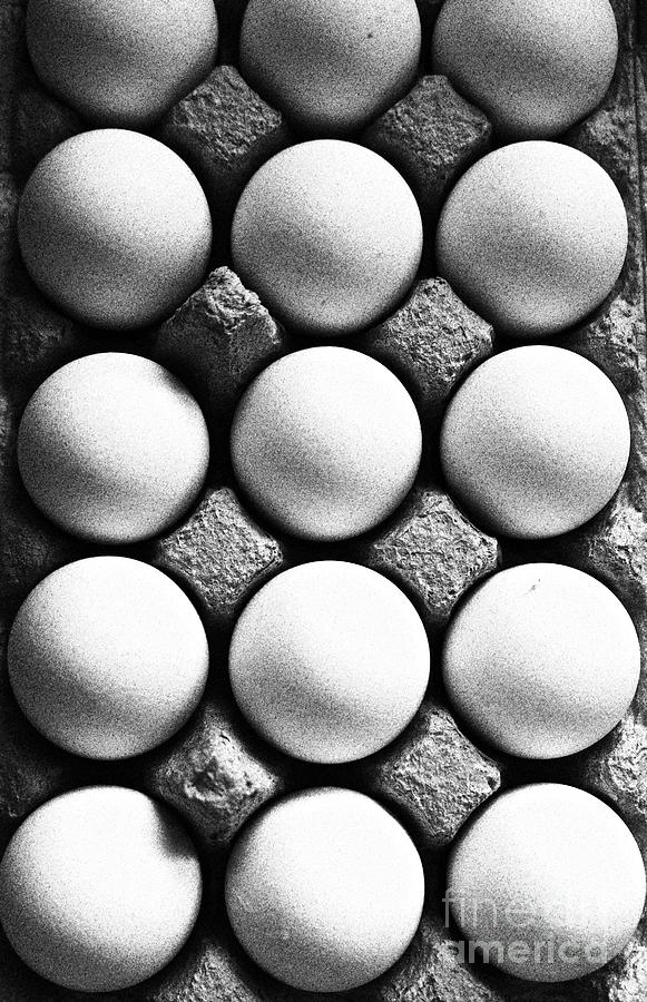Eggs in Black and White Photograph by Linda Bianic
