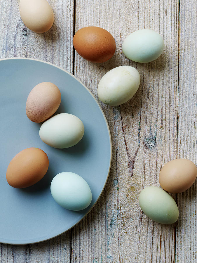 Eggs Photograph by Dan Goldberg
