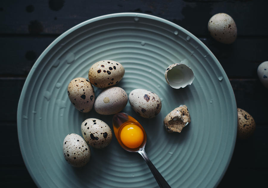 Eggs In A Plate Photograph by Aleksandrova Karina