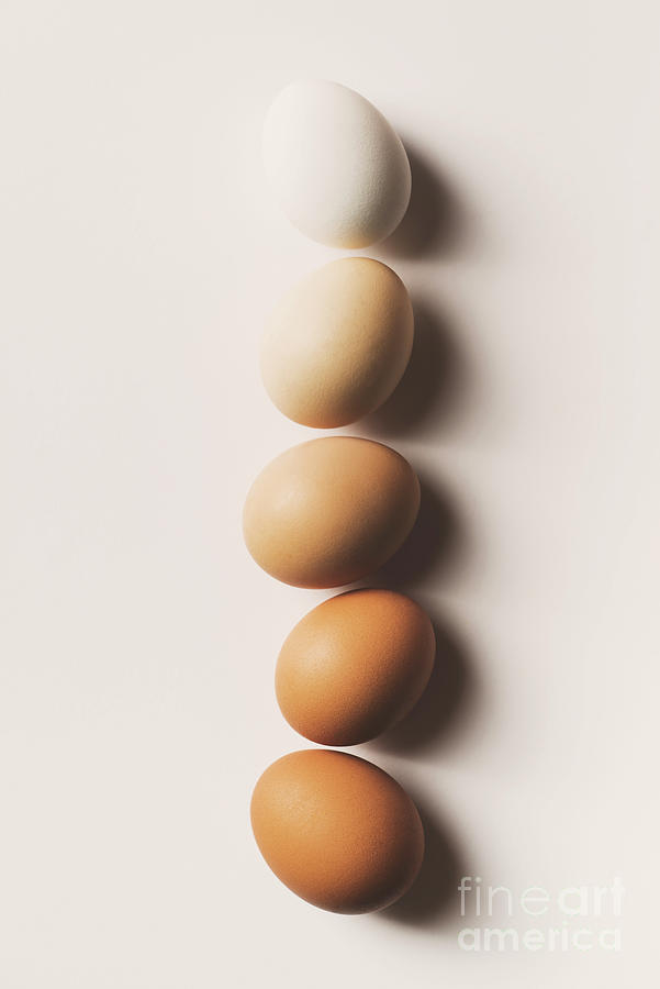 Eggs In A Row Photograph by Tarik Kizilkaya