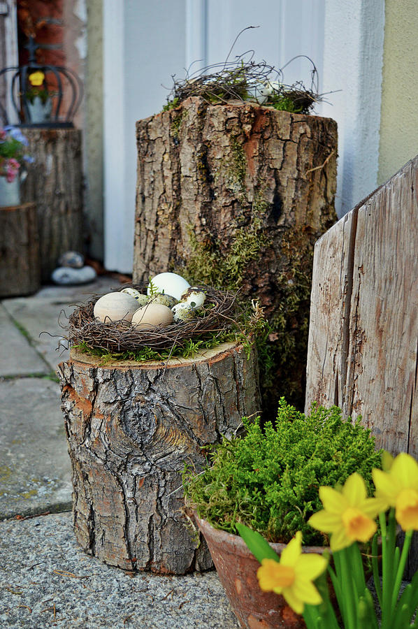 Eggs In Easter Nest On Tree Stump Photograph by Christin By Hof 9
