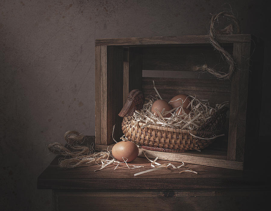 Egg Photograph - Eggs by Margareth Perfoncio