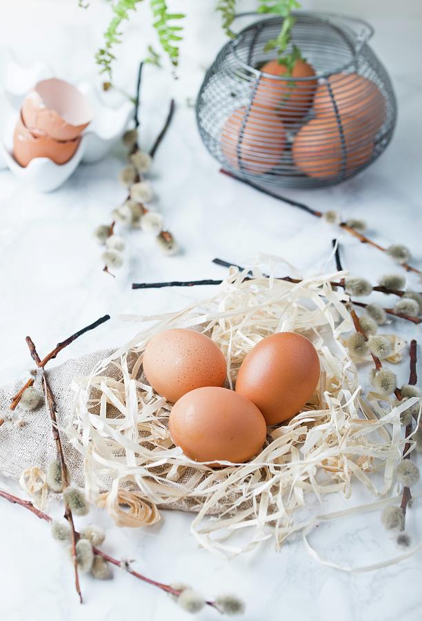 Eggs On Straw With Pussy Willow And In A Wire Basket Photograph by Dorota Indycka