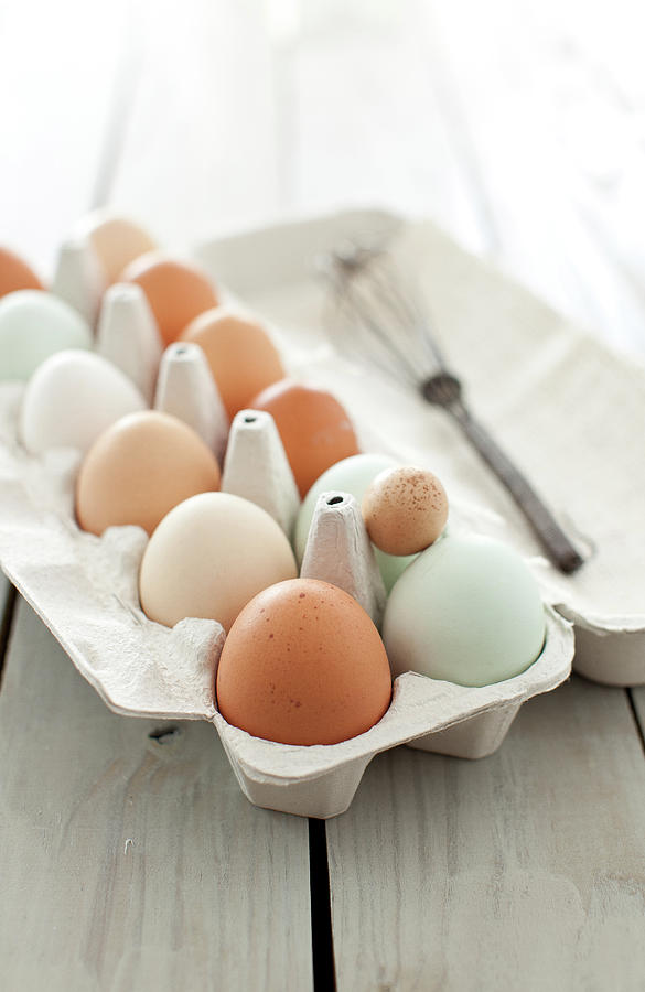 Eggs Photograph by Yelena Strokin