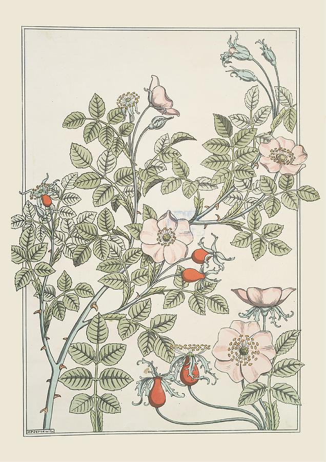 Flower Painting - Eglantier by Maurice Pillard Verneuil