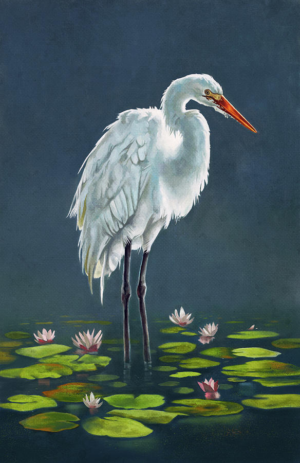 Egret Mixed Media - Egret Amonst The Lily Pads by Lucca Sheppard